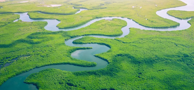 Revolusjonerende landbruksvanning: Rollen til PVC-rør og -fittings